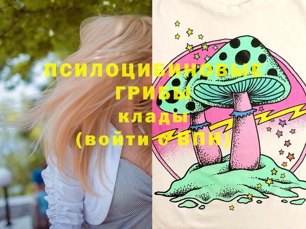 mix Козельск