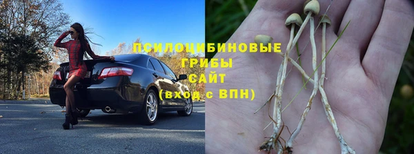 дурь Кодинск